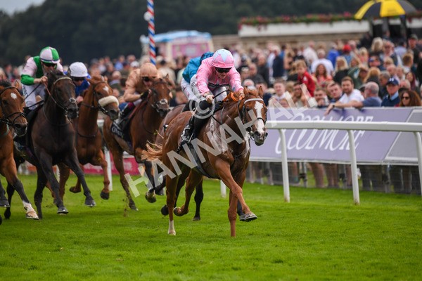 250823-Race 4-Live In The Dream-0661 - Race 4 3.35pm Coolmore Wootton Bassett Nunthorpe Stakes