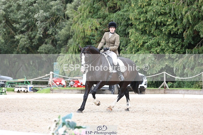 230812-134215-04296 - Cls 5 Novice Bronze 13.40 to 14.45 break