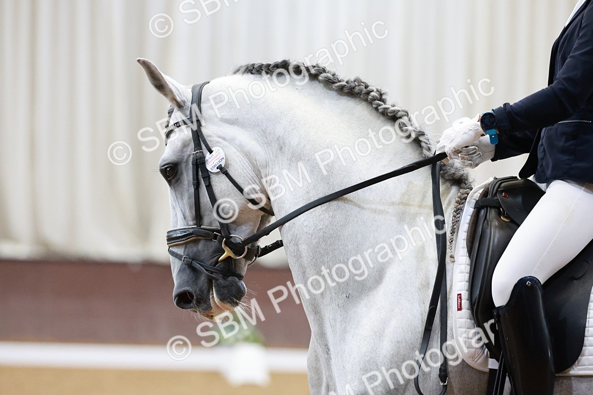 SBM_005553 - Class 3 - Medium 6 - 14.40-15.52