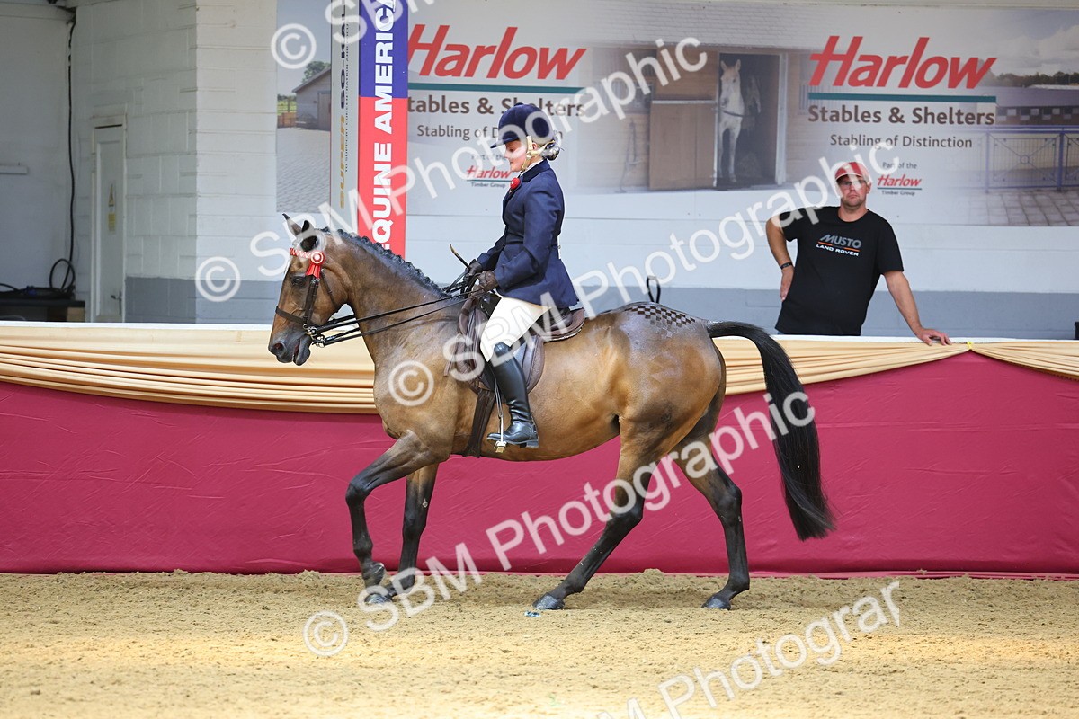 SBM_24124 - Class 905 - Supreme Final - Ridden Veteran