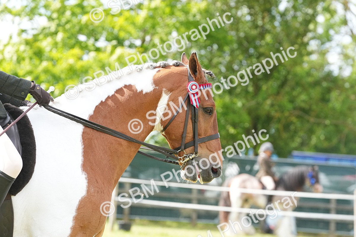 SBM_17615 - Class 107-108 - LIHS BSPS Performance Coloured Horse Pony