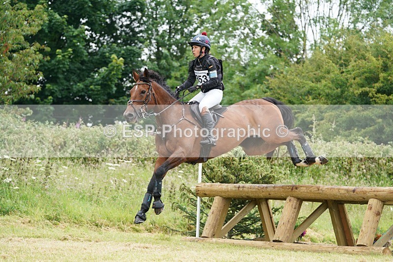 240630X-111538-6142 - 353-Hani_Milstein-COCCINELLE