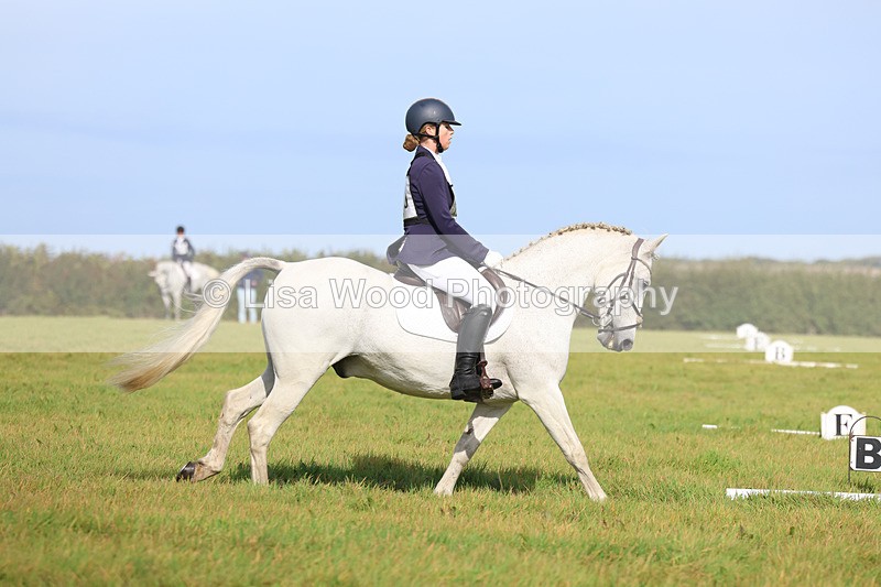 3E7A6250 - Class 1: Trebudannon Open: Dressage (Part 2)