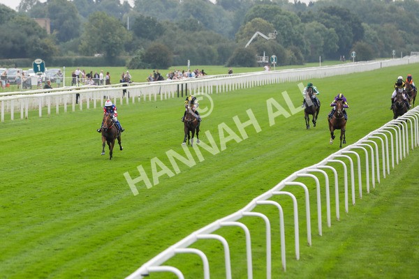 100923-Pony Race 1-Seal The Deal-3626 - Pony Race 1 12.25 The Dragon (TV and Film) Studios Pony Race 148cm & Under