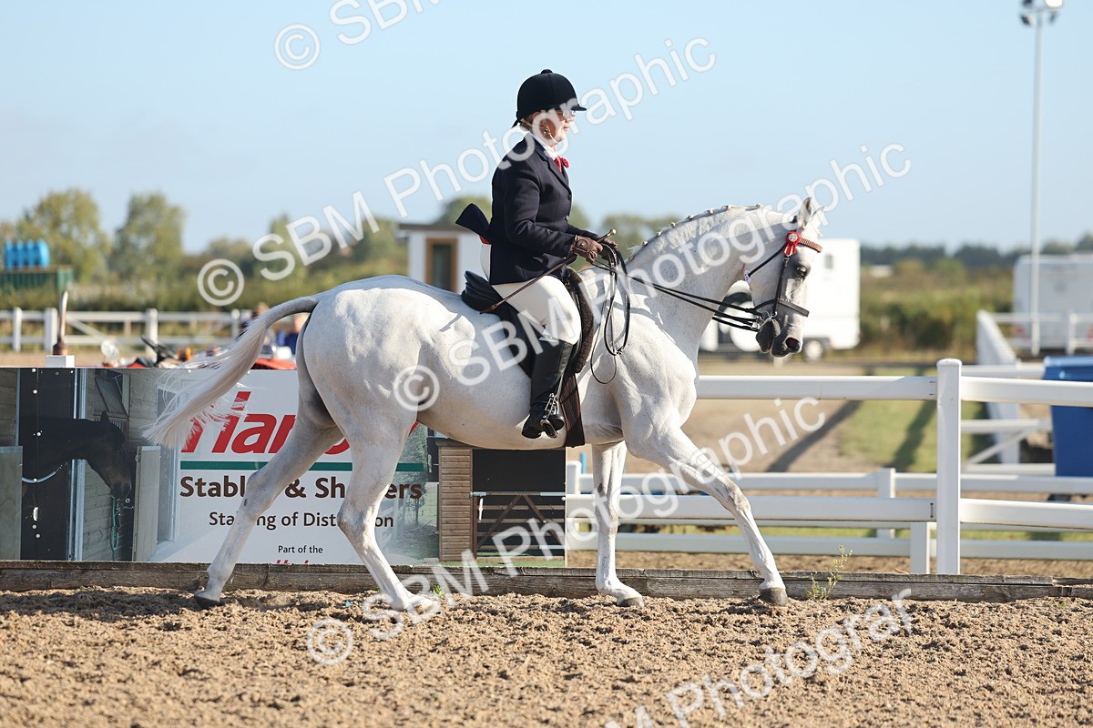 SBM_22118 - Class 801 - Ridden Veterans