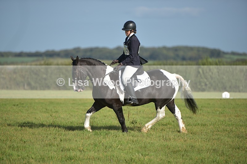 RAY_7315 - Class 2B: Trekenning Open: Dressage