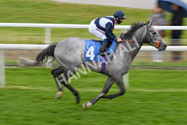 yr22052021r3-17 - Race 3 3.15pm William Hill Extra Place Races Stakes