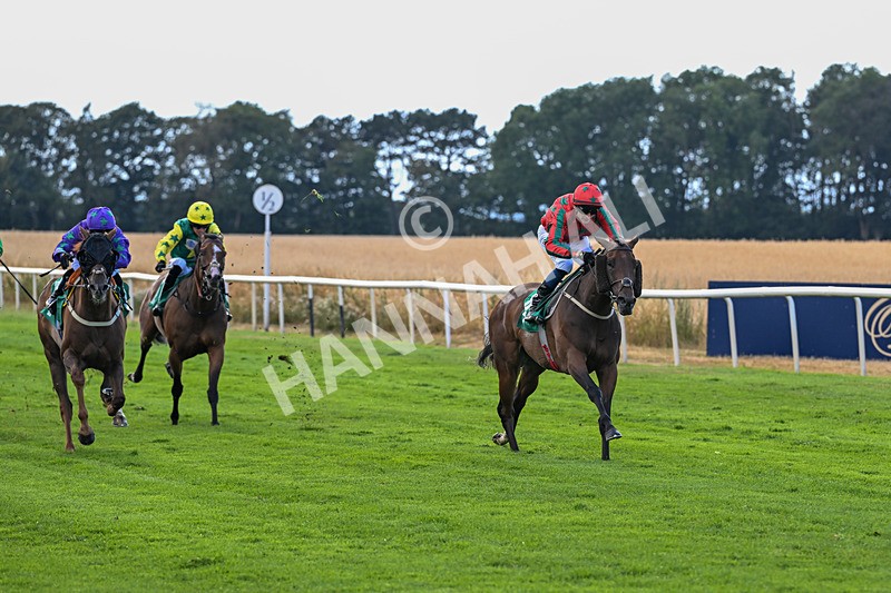 010826-Race 7-Maldevious-3474 - Race 7 16.55pm John Joseph Robson Memorial Handicap