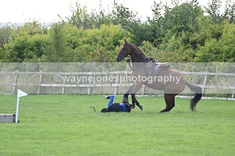 WJ7_0941 - Time 13:30 to 13:54