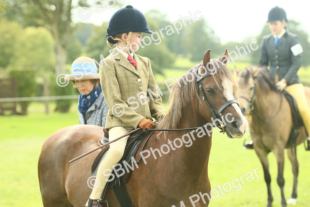SBM_69876 - S59 - Mountain & Moorland Ridden Small Breeds