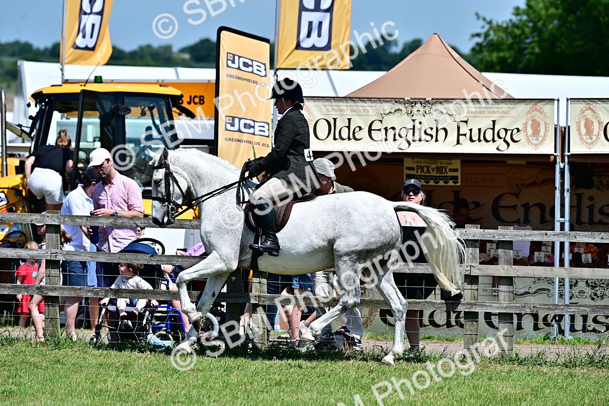 SBM_17460 - Class 95-97 - BSPS LHS Performance Ponies