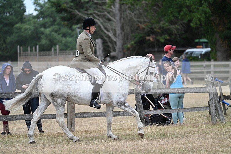 WJ7_0921 - Class 7 Riding Club Show Horse