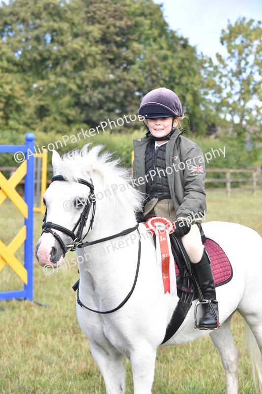 20250831-1886 - Class 9 - Absolute Novice 45cm