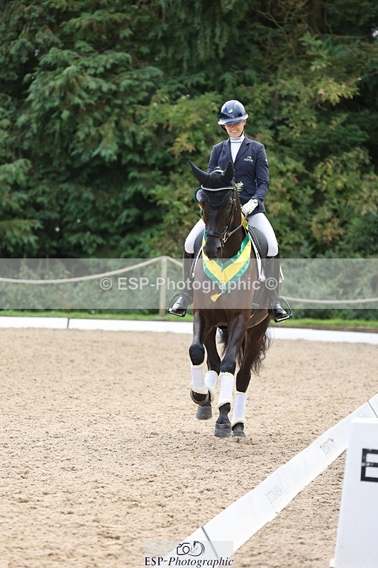 240810-132111-03310 - Medium Gold