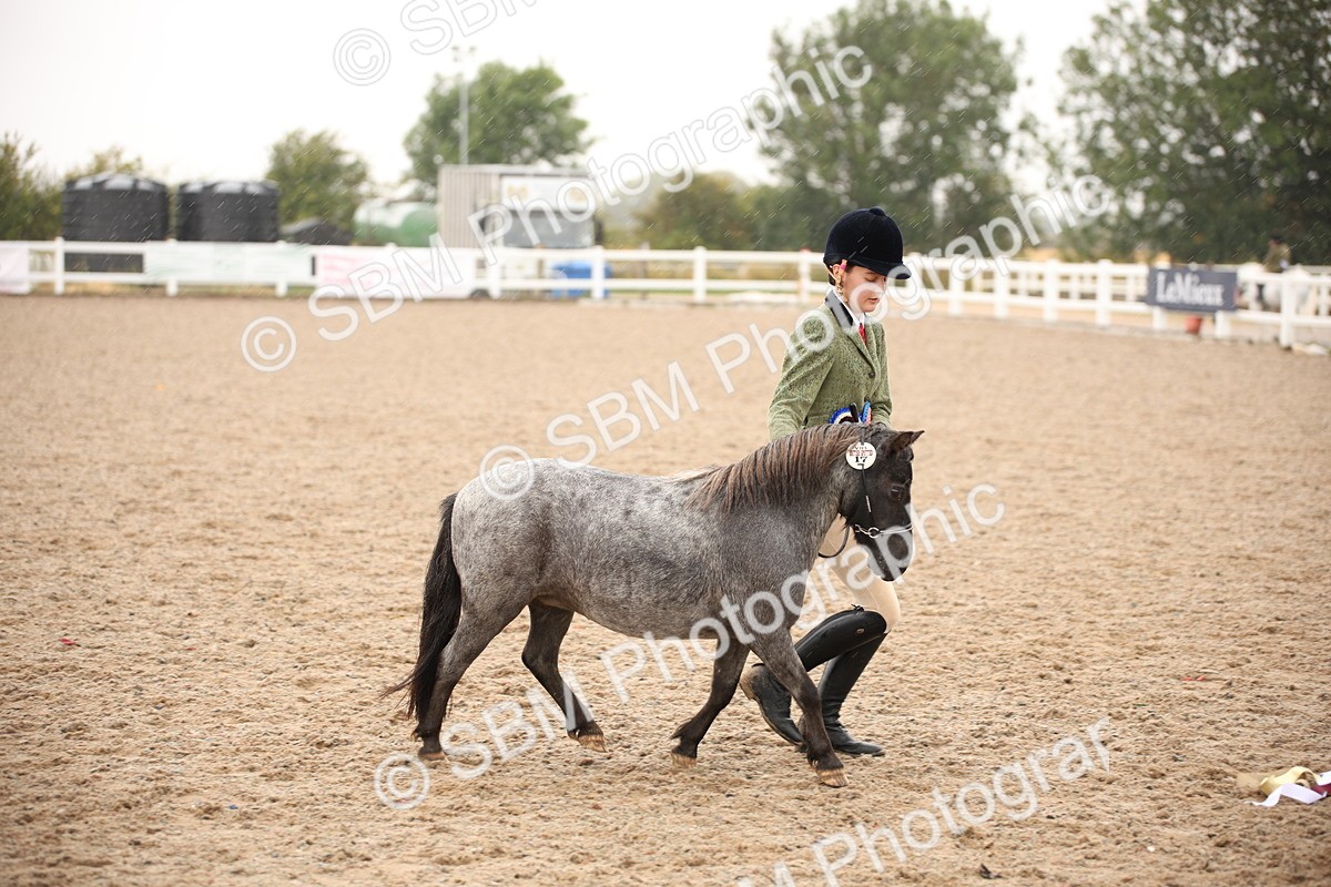 SBM_20263 - Class 704 - IH Rescue