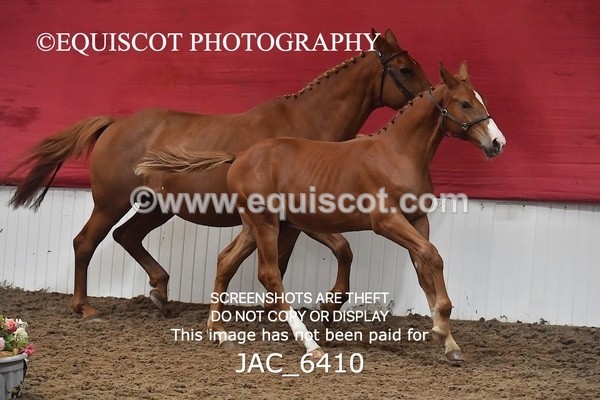 JAC_6410 - 19 Luca