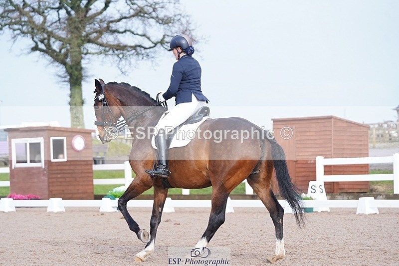 250215-144646-04352 - 194-Fay.Lai-Greenlanes.Lullaby