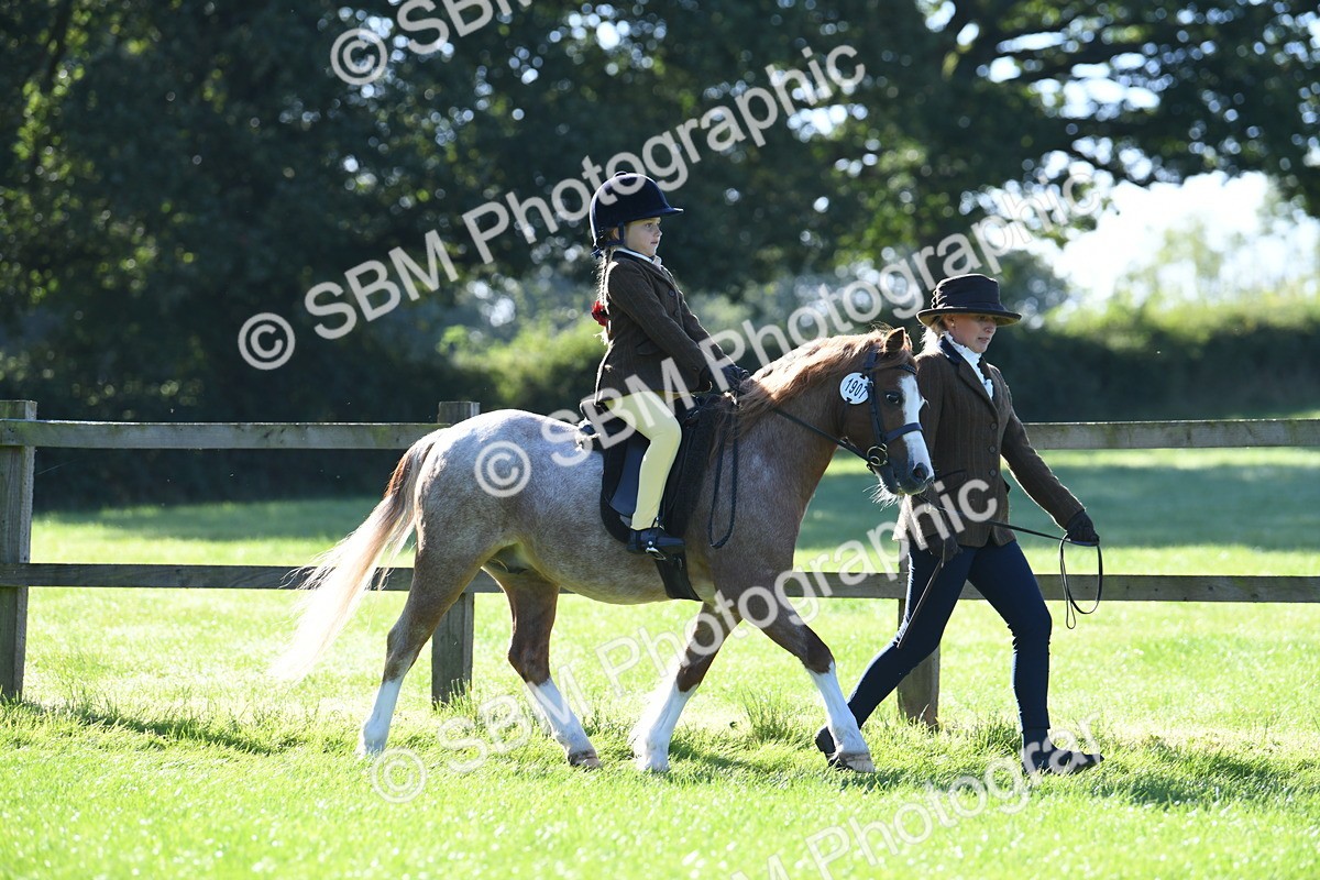 SBM_36702 - S18 - Novice & Newcomers Lead Rein Pony
