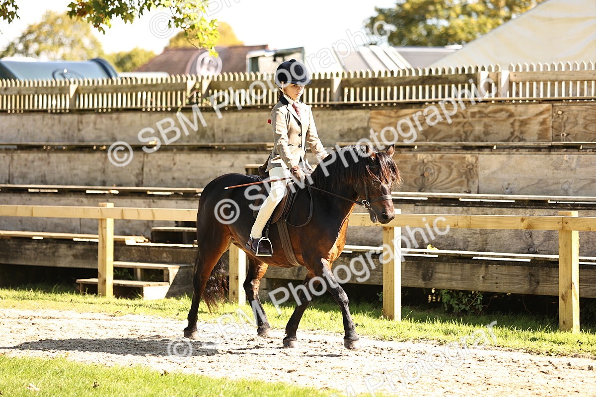 SBM_19248 - S3 - TSR Ridden Pony Showing