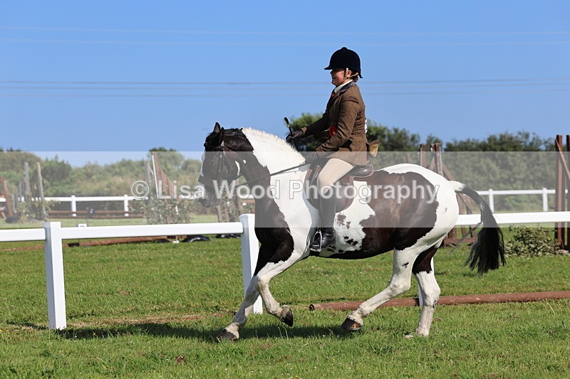 IMG_1658 - Skewbald and Piebald Ridden Championship