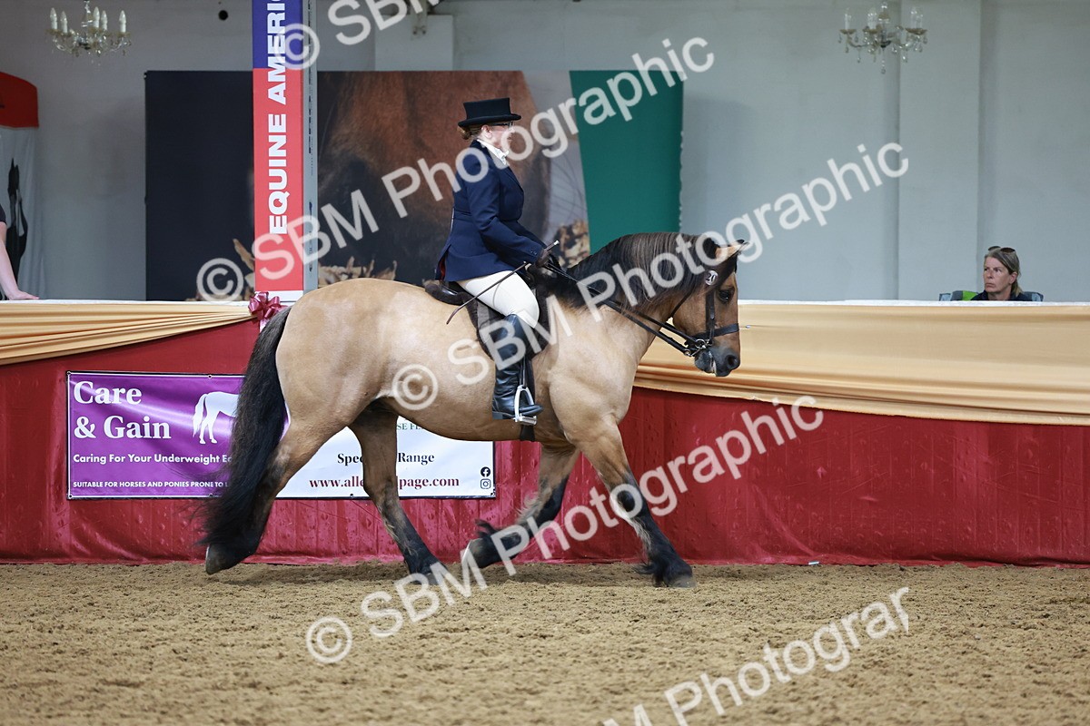 SBM_18614 - Class 952 - M&M Ridden Supreme Final