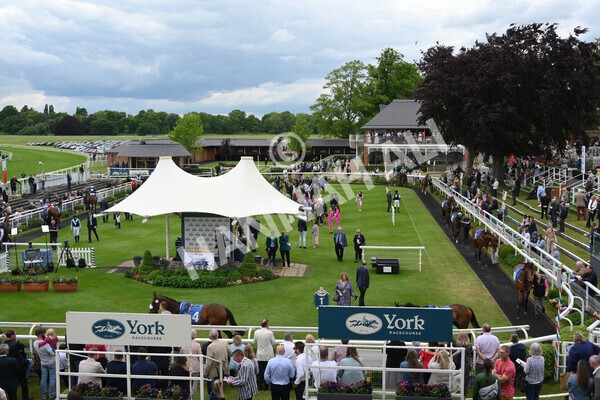 yr22052022r1-9 - Race 1: 3:30pm Sky Bet Sunday Series Apprentice Stakes