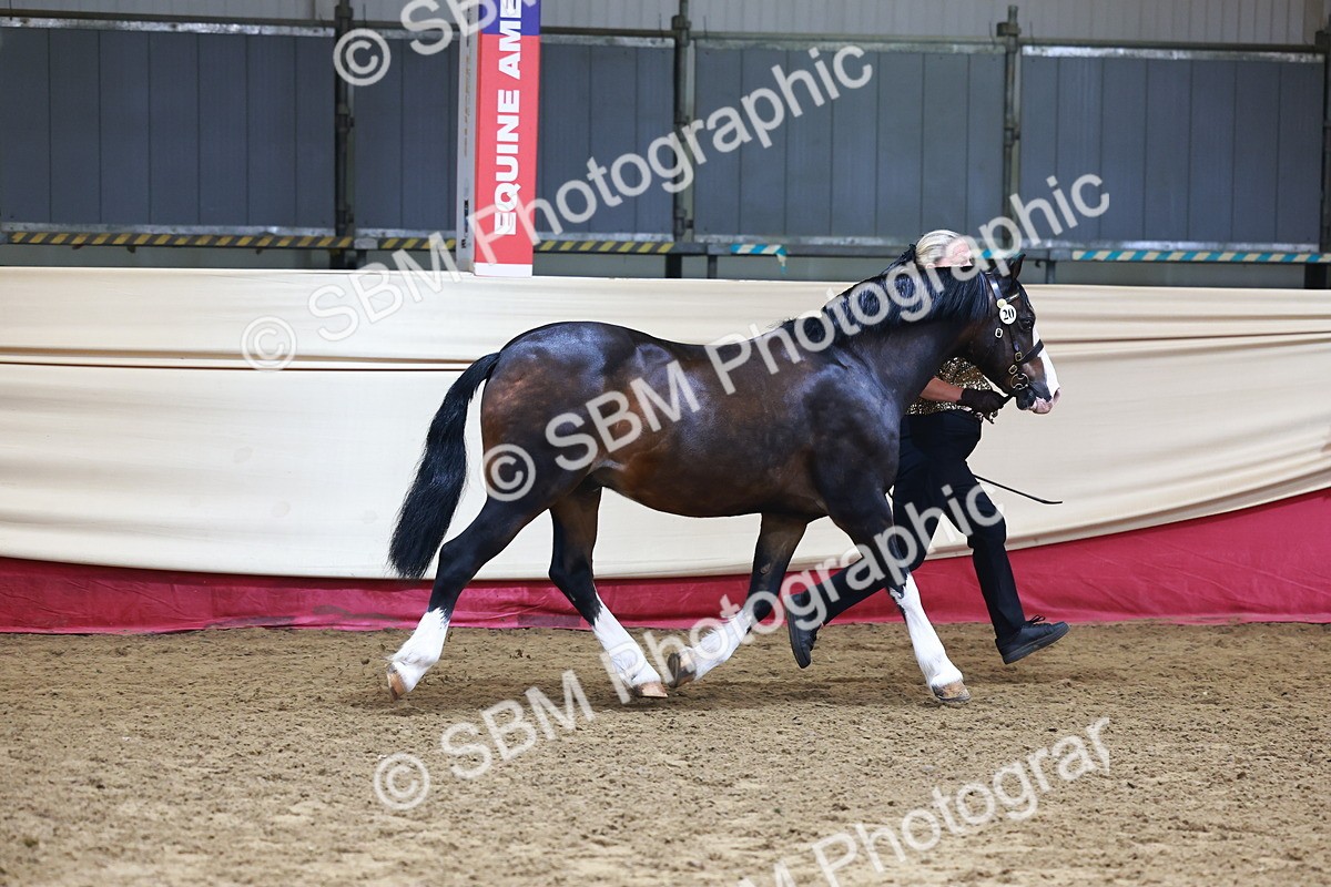 SBM_22282 - Class 902 - Supreme Final - IH Diamond