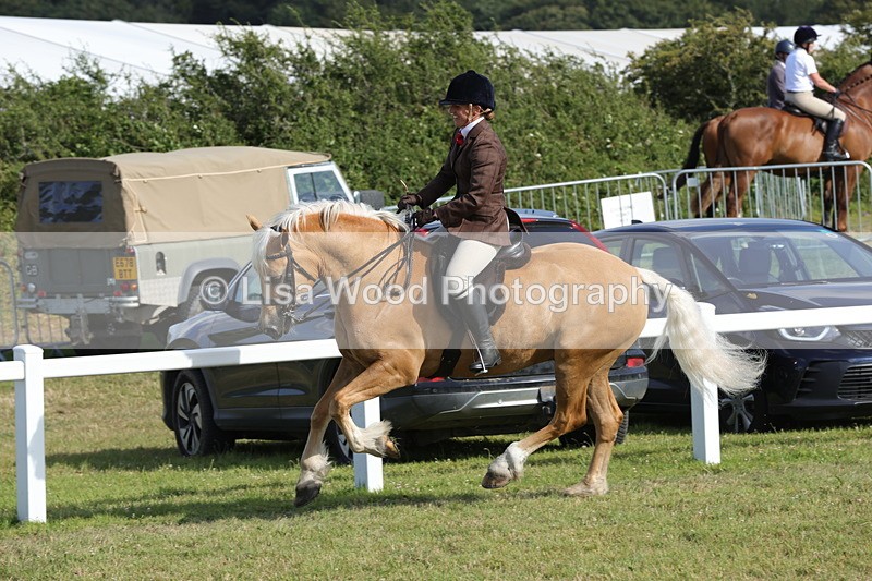 1X9A6038 - Class 43: NPS Welsh C & D