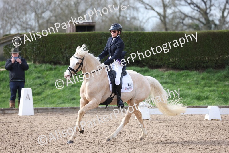 20260301-0655 - Class 4 - Novice 5