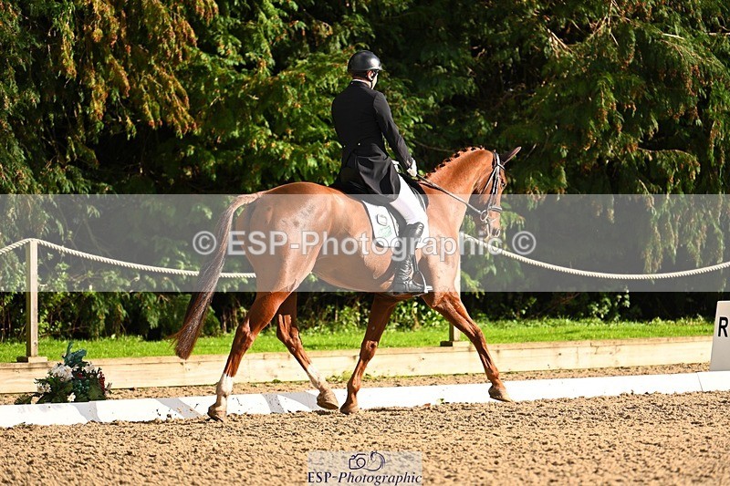 231021-151331-20792 - 256-GOODFELLA.GIO-Finley.Atherton-DR