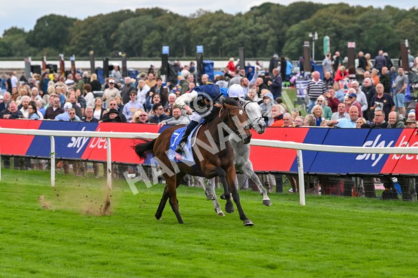 210825-Race 1-Royal Fixation-3595 - Race 1 1.50pm Sky Bet Lowther Stakes