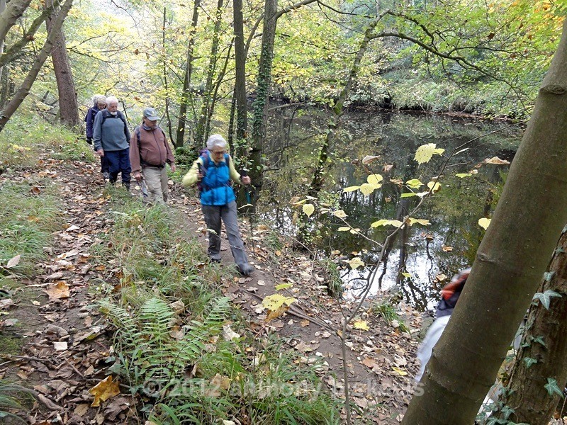 037 A path of shear delight. - Third Saturday Walks Collection Two.