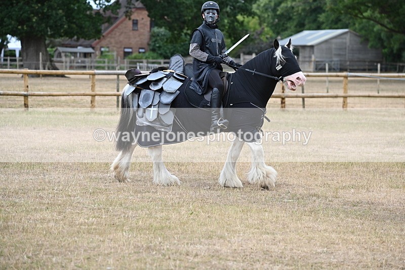 WJ6_8845 - Class 11 Fancy Dress