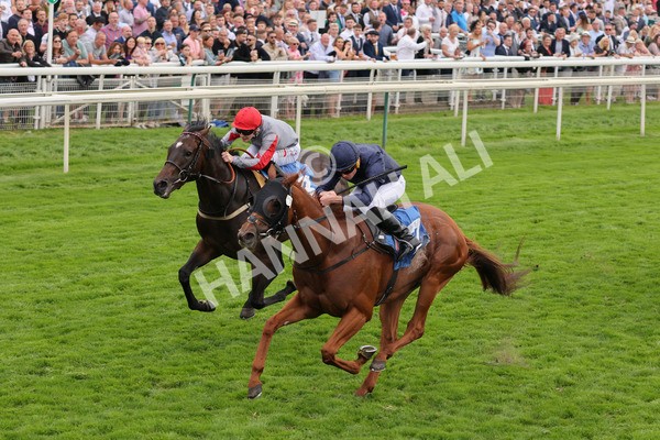 yr20082021r7-25 - Race 7 5.10pm Sky Bet Mile