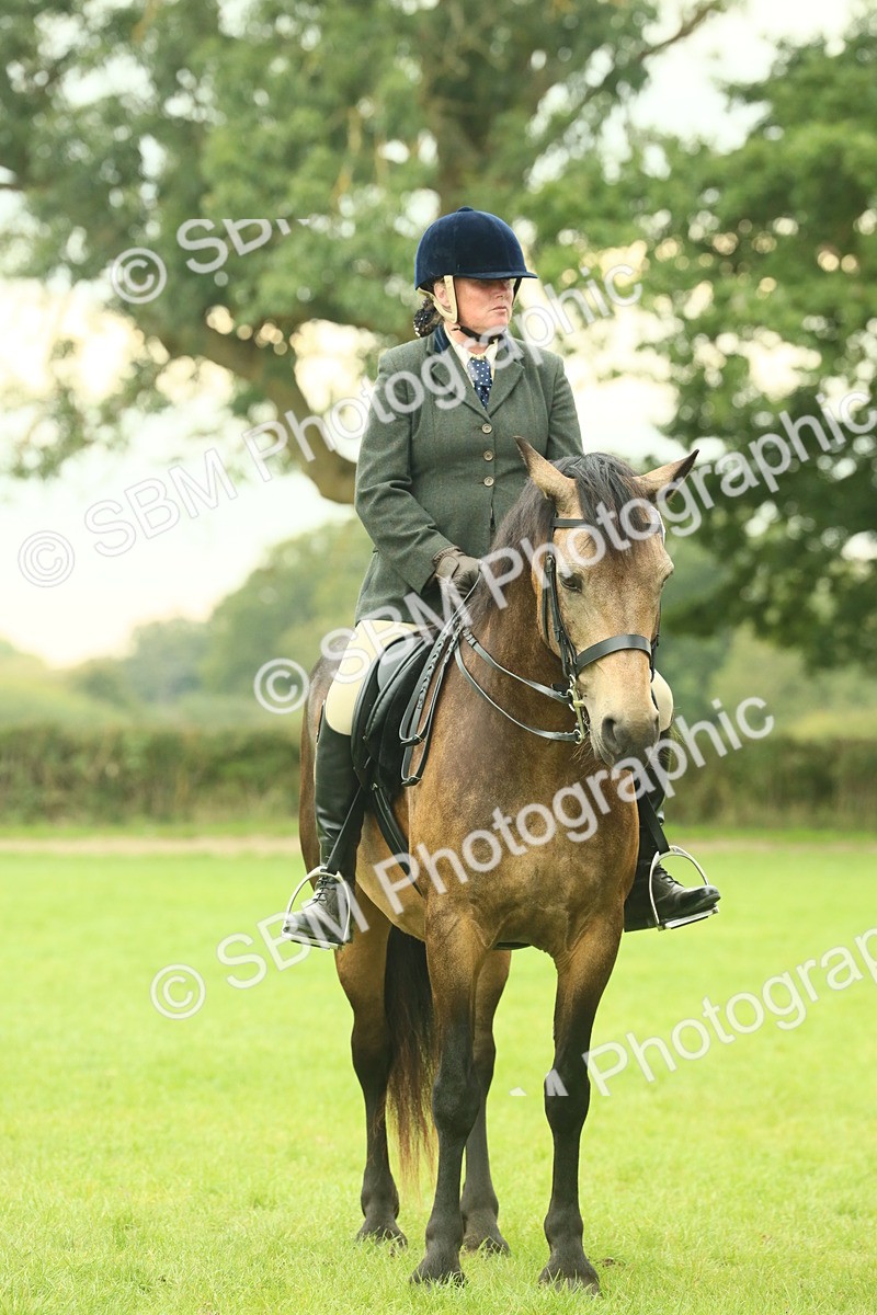 SBM_72186 - S60 - Mountain & Moorland Ridden Large Breeds