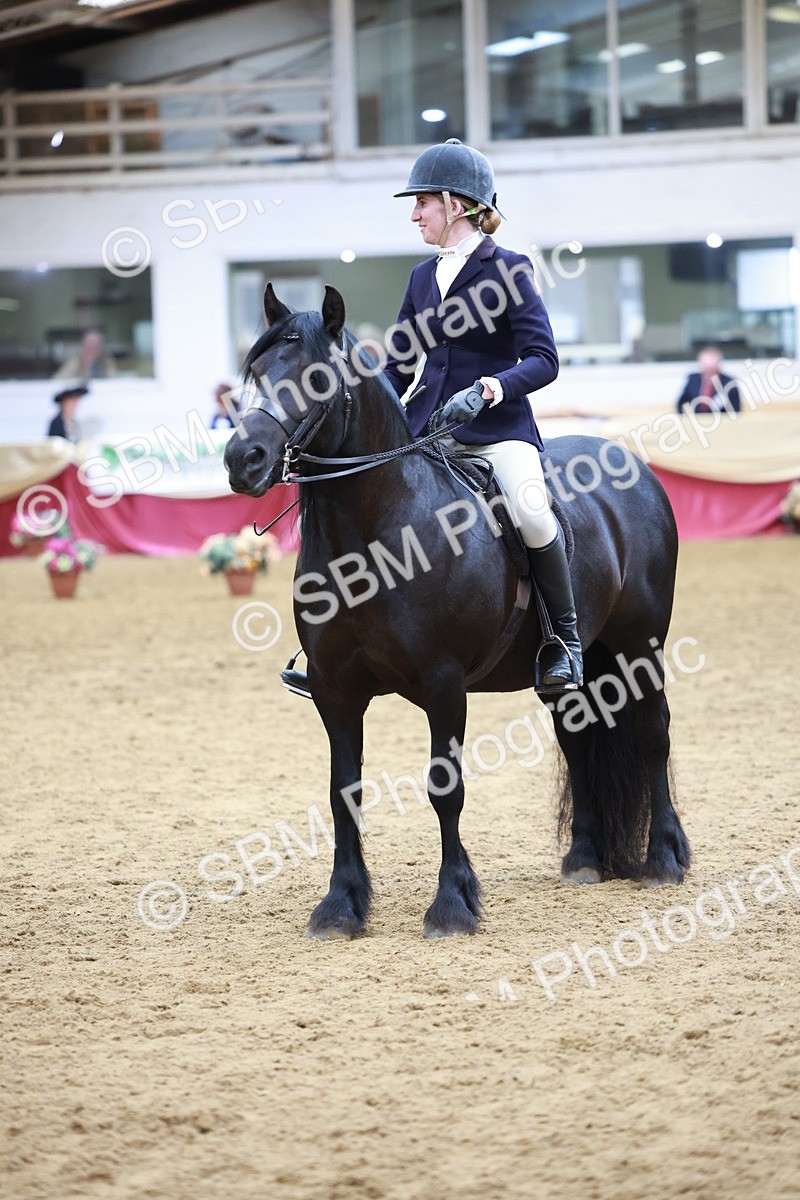 SBM_18816 - Class 952 - M&M Ridden Supreme Final