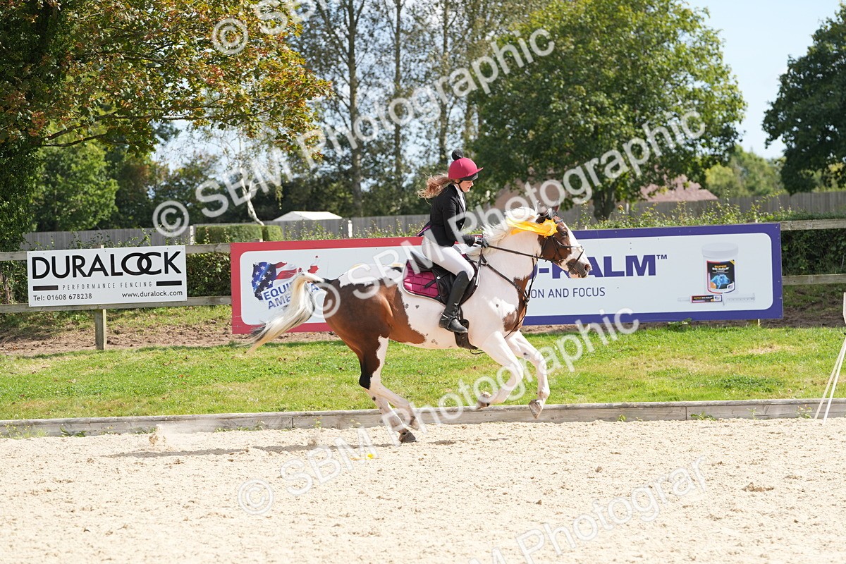 SBM_38939 - J21 - Junior Horse 60cm Championship
