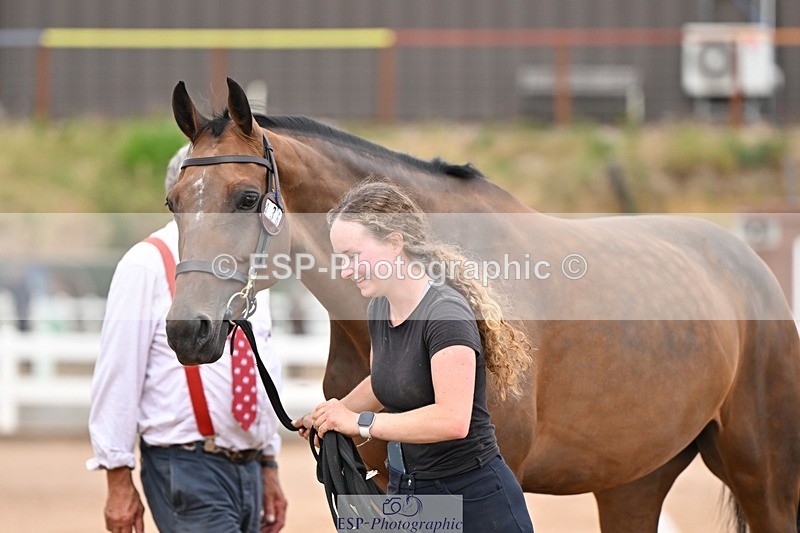 250716-163455-02691 - Trot Up 4.30 to 5.00