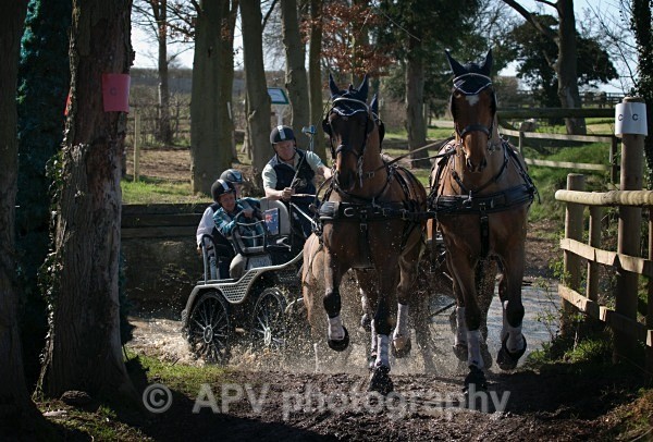 _DSC0202 - Ashfields Carriage & Polo Club