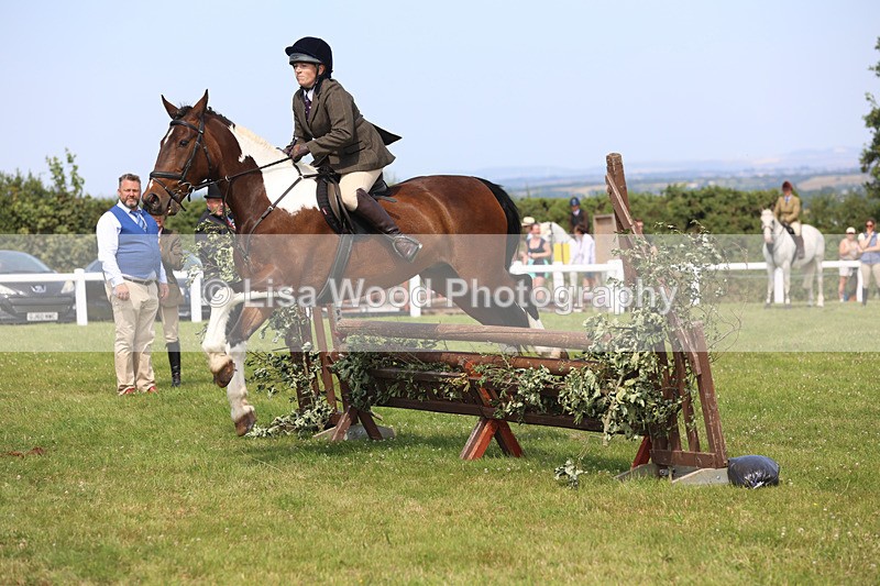 JPP_3643 - Class 23: Working Hunter 80cm