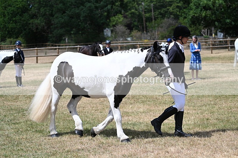 WJ7_1735 - Class 4 Prettiest Mare up to 14.2hh in hand