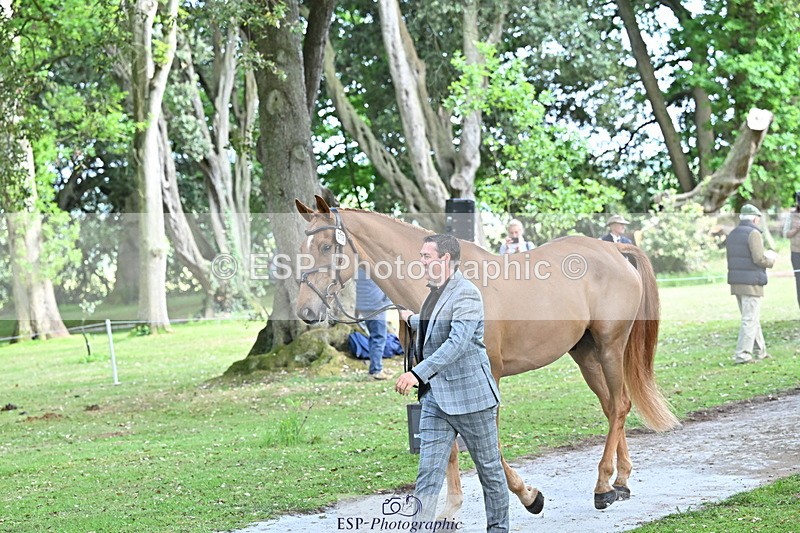 250521A-165600-01412 - C-273-Tim.Cheffings-HEARSAY.LARK.RISING