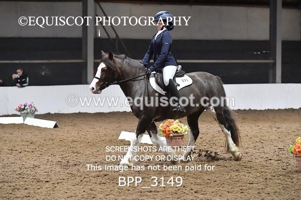 BPP_3149 - INTRO TEST 3