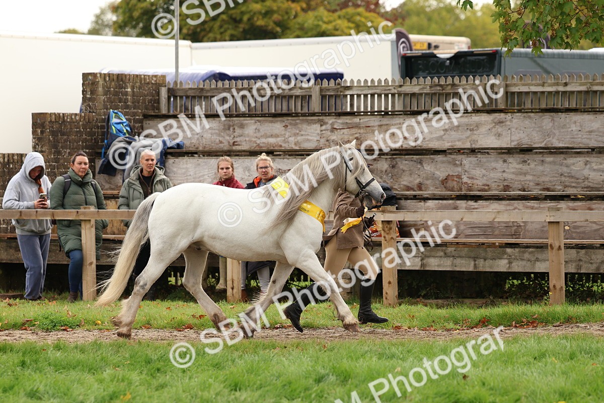 SBM_59765 - Start Supreme Championship