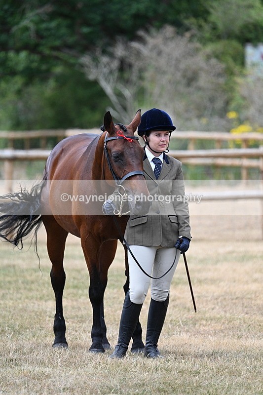 WJ7_1853 - Class 4a Prettiest Mare 14.2hh and over hand