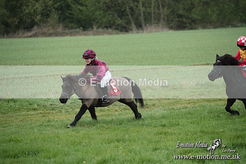 SHETPR 210425 117 - Shetland Ponies Paxford Races 21/04/25