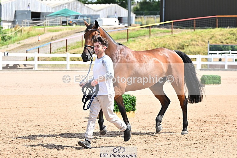 240718A-105243-01082 - Trot Up 12pm to 1pm