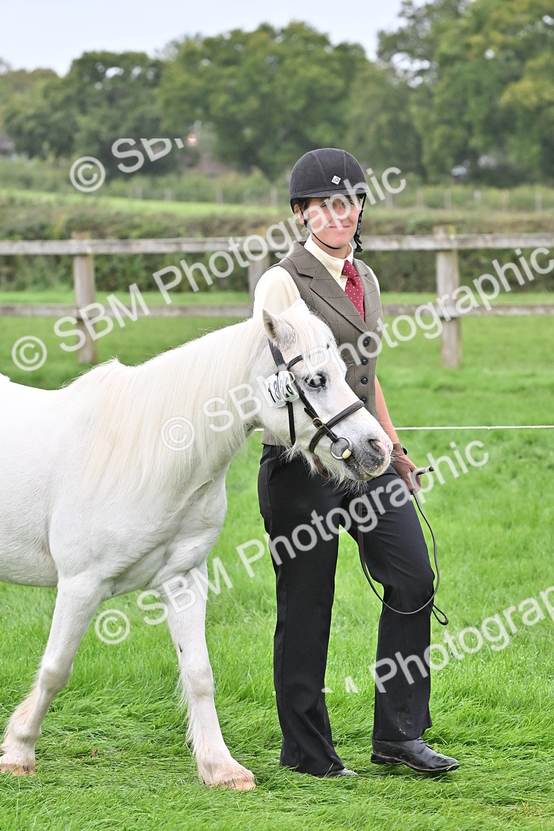 SBM_60928 - S48 - Mountain & Moorland In Hand Small Breeds