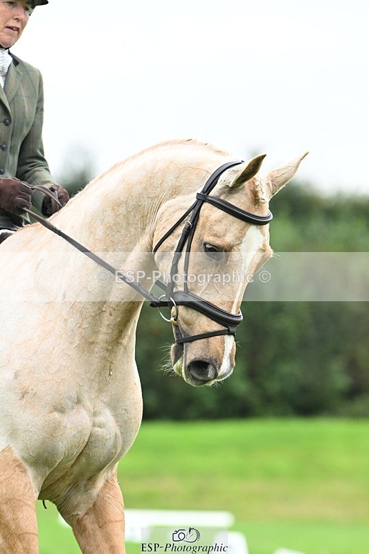 241024-124848-03520 - 519-Jane.Rogers-CORRIEVIEW.MERLIN.MAGIC