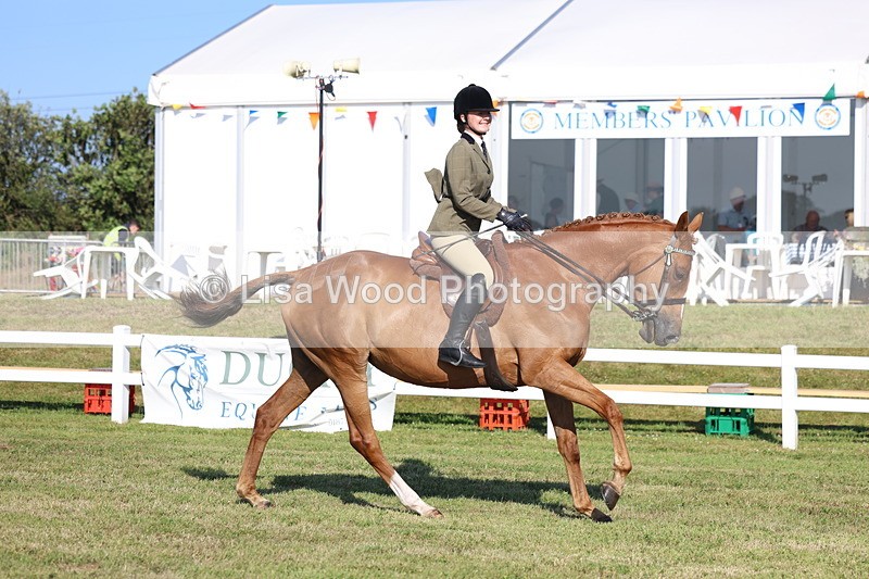 3E7A5343 - Class 2: Rising Star Large Hack/Riding Horse